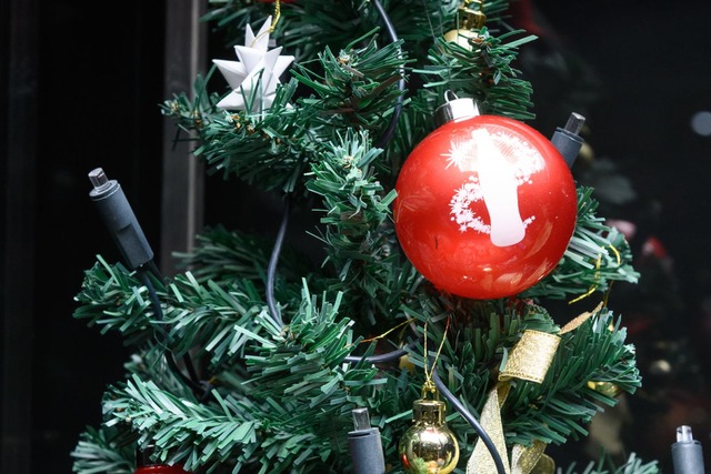 Ein Unternehmer aus Mnchen will einen Baum spenden (Symbolbild).  | Foto: Silas Stein (dpa)