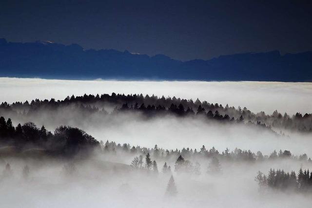 Das Rheintal im Nebelmeer