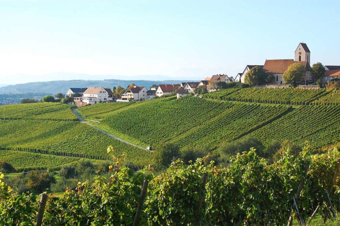 Pestizide bleiben am Tüllinger Berg wohl erlaubt Weil am Rhein