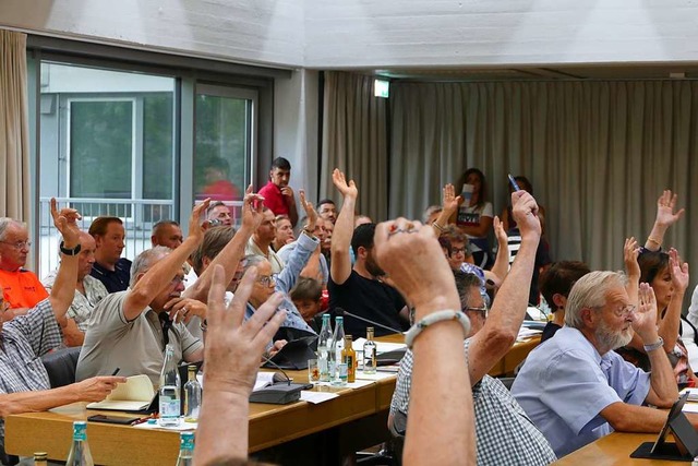 Der Gemeinderat Rheinfelden bei einer Abstimmung  | Foto: Ingrid Bhm-Jacob