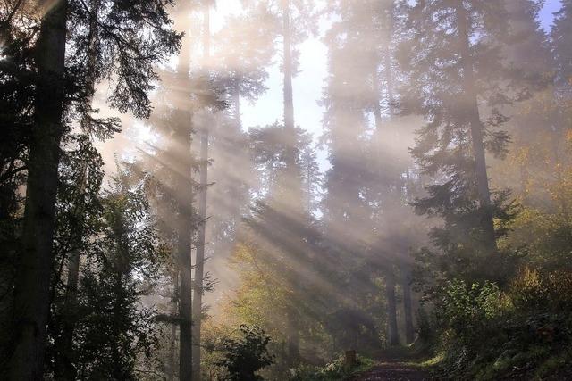 Der Herbst hat die Ortenau im Griff