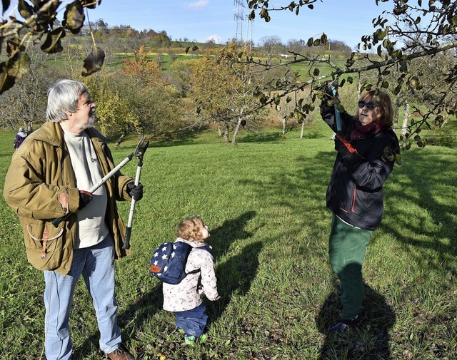 BUND-Mitglieder gehen mit der Astschere ans Werk.   | Foto: Heinz und Monika Vollmar