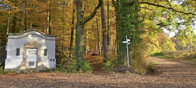 Im Gemeindewald sind krftige Aufforstungen vorgesehen.   | Foto: Horst Donner