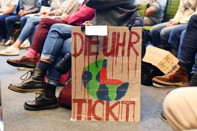 Dieses Plakat brachte ein Zuhrerin zur Sitzung des Lrracher Gemeinderats mit.  | Foto: Jonas Hirt