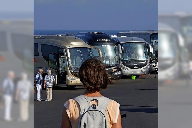 Fnf gute Grnde fr eine Busreise