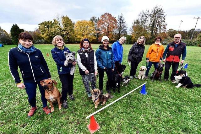 Wo Hunde und ihre Menschen in Freiburg-Mundenhof gemeinsam Sport machen