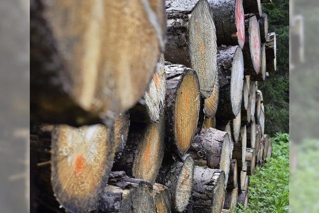 Mnstertal gibt Holzvermarktung ab