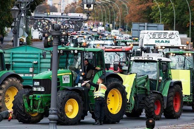 Das sagt der Mitorganisator der Protestdemo, bei der Landwirte nach Berlin fahren