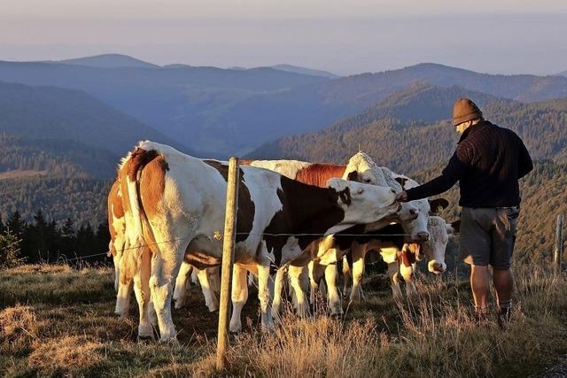 Landwirte werben fr Volksantrag