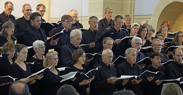Der Motettenchor Lrrach singt am Sonntag in St. Fridolin.  | Foto: Roswitha Frey
