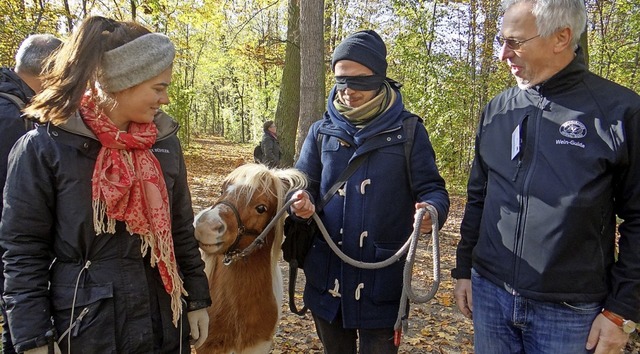 Ponys und Pferde fhrten  Naturfhrer mit verbundenen Augen.   | Foto: TRUZ