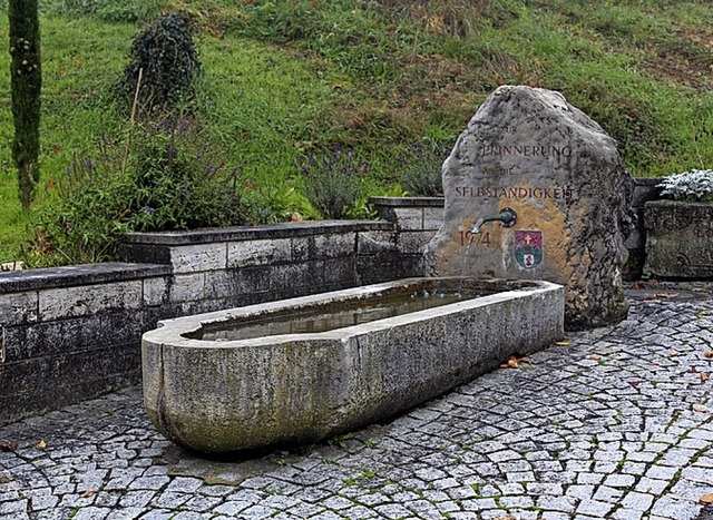 Der Brunnen soll bleiben.  | Foto: Reinhard Cremer