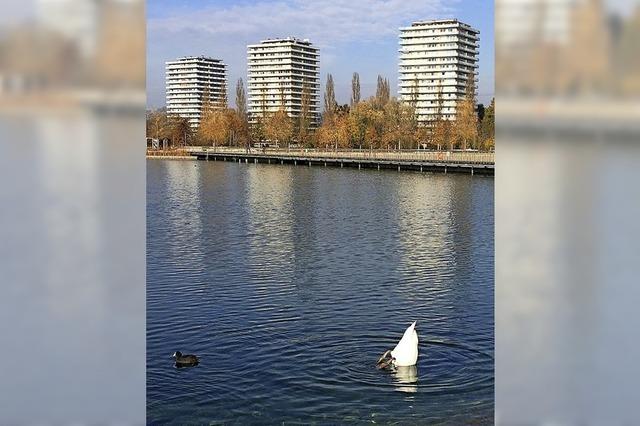 Das Loch im Stegmattensee