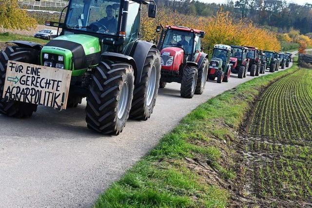 Landwirte verzichten auf erneute Demonstration mit Traktoren