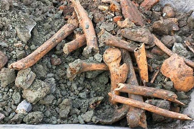 Bauarbeiter finden menschliche Knochen in Bonndorf