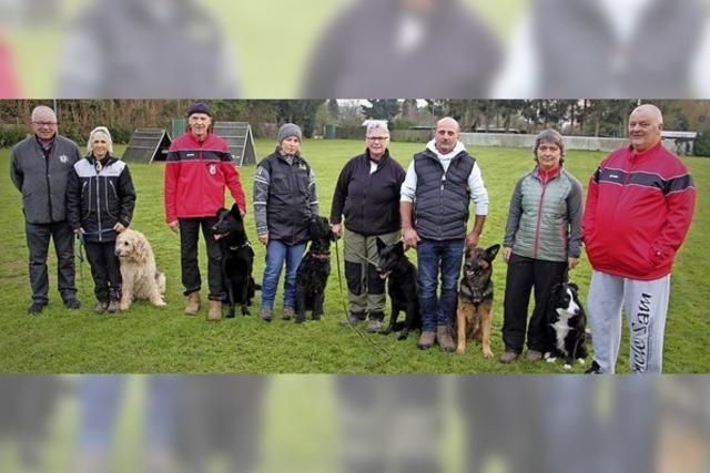 Gute Noten fr den Hundesport