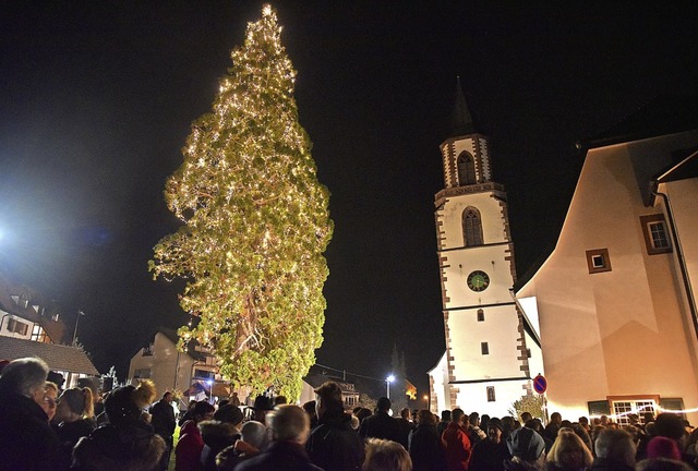 Der Mammutbaum in Ober-Eichsel wurde am Sonntagabend wieder zum Weihnachtsbaum.   | Foto: Martin Eckert