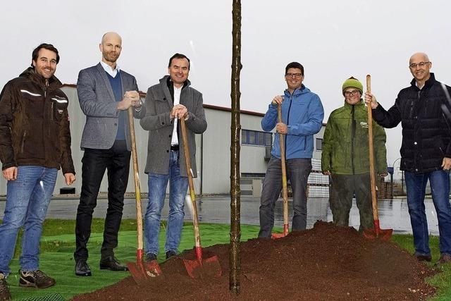 Baum steht fr Nachhaltigkeit