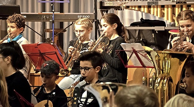 Das Vorstufenorchester der Musikschule beim Konzert.   | Foto: Helmut Rothermel