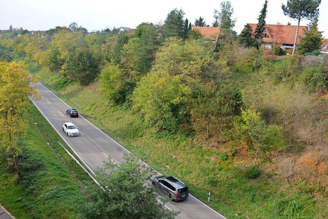 Die Zollfreie soll knftig offizielle Umgehungsstrae von Riehen sein.  | Foto: Hannes Lauber