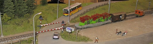 Ein Nachbau der Rhtischen Bahn ist ei...ochenende in Kenzingen gezeigt werden.  | Foto: Privat