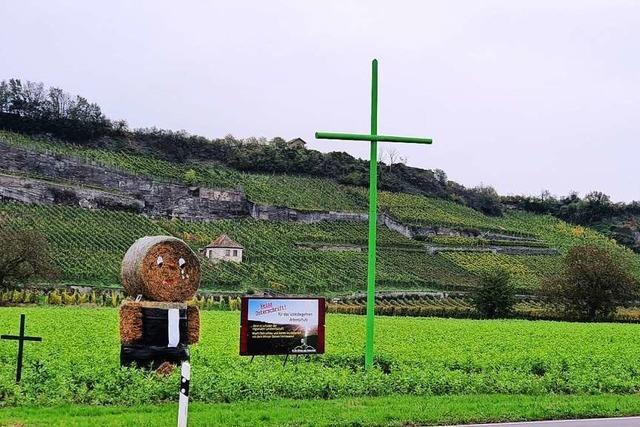 Breisach gibt keine Stellungnahme zum Volksbegehren 