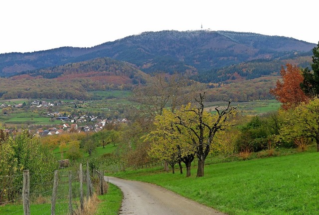 Die knapp 800 Hektar des Schliengener ...heinvorland bis zum Gipfel des Blauen.  | Foto: Dorothee Philipp