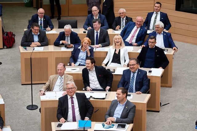 Abgeordnete der AfD-Fraktion im Landtag  | Foto: Marijan Murat (dpa)