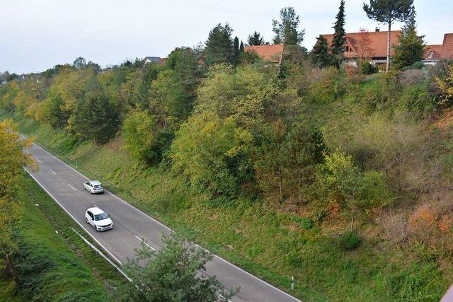 Bern glaubt nicht, dass Riehen die Zollfreie Strae als Umgehung ausweisen kann