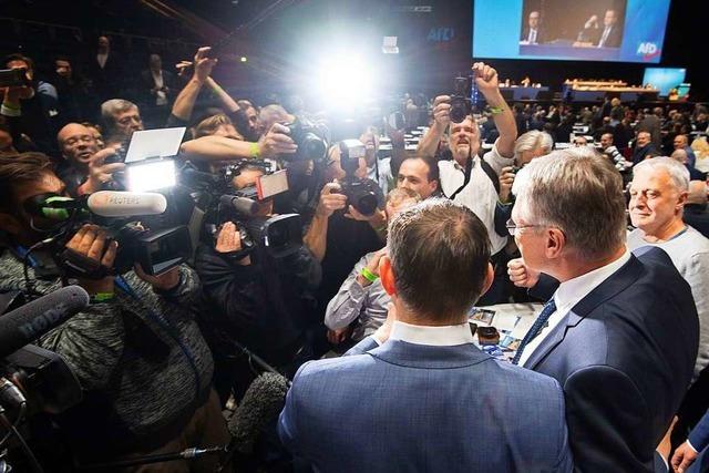 Beim Parteitag zeigt sich die AfD als eine Partei in der Pubertt