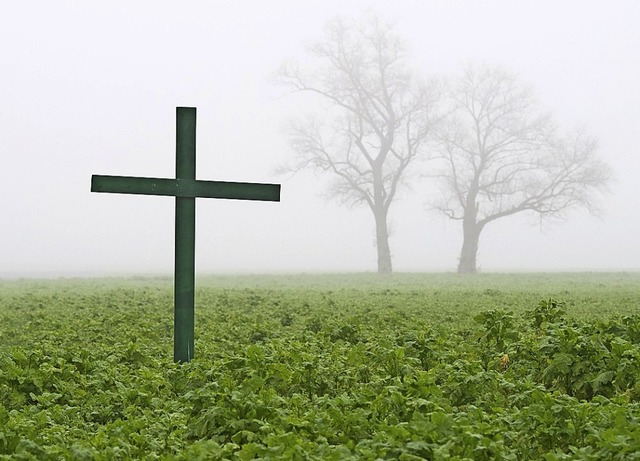 Mit grnen Kreuzen auf Feldern machen ...z von Dngemitteln und Pflanzenschutz.  | Foto: Julian Stratenschulte (dpa)
