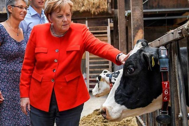 Merkel sucht Dialog mit Bauern