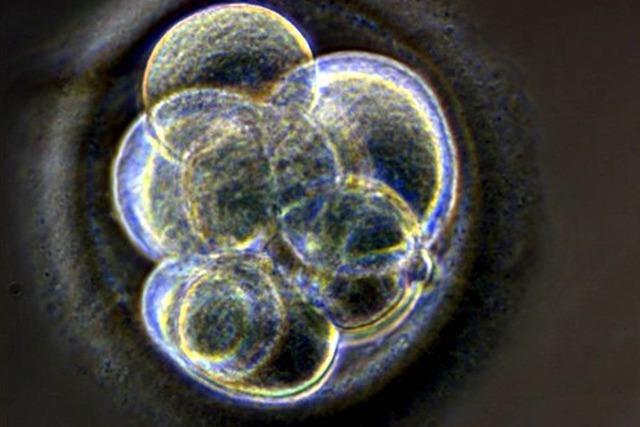 Embryonen sind keine Menschen