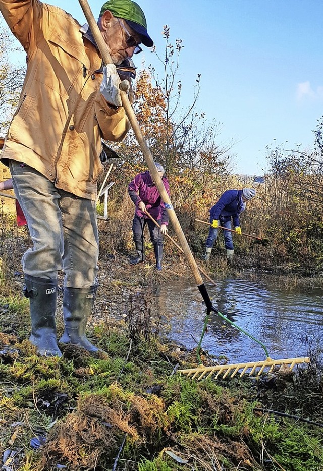 Das Entfernen von organischem Material... den Sauerstoffgehalt in den Teichen.   | Foto: Astrid Deek