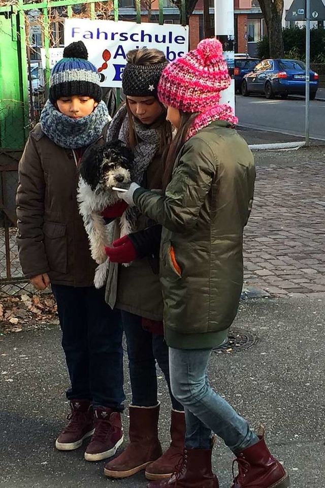 Dieses Bild entstand im Februar 2017, ... Matthieu Harre, rechts Smilla Kunkel.  | Foto: Sonja Zellmann