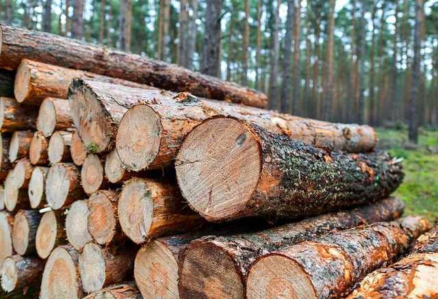 Vertrge mit dem Landkreis sollen zu s...gen bei der Holzvermarktung vermeiden.  | Foto: Patrick Pleul