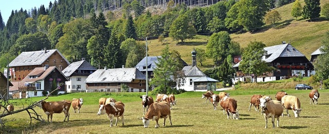 Der Ortsteil Aeule erhlt in 2020 einen Abwasseranschluss. Kosten: 900000 Euro.   | Foto: Friedbert Zapf