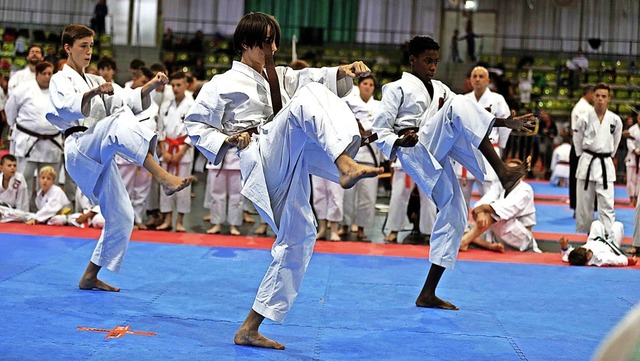 Die Wiesentler Fudokan-Karatekas zhl...tler zahlreiche Medaillen nach Hause.   | Foto: Verein