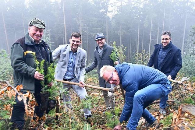 Hexental-Gemeinden pflanzen 5000 Bume gegen den Klimawandel