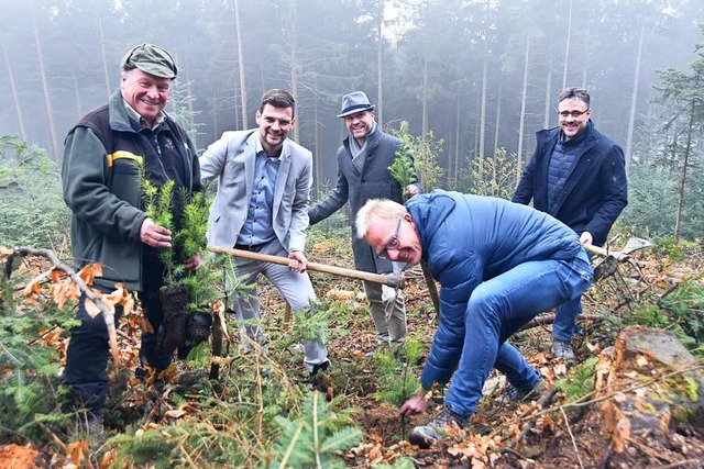 Fnf Mnner im Wald (von links): Johan...us Rees pflanzen Douglasien in Horben.  | Foto: Jannik Jrgens