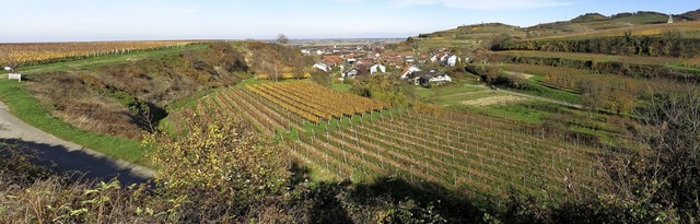 Das in Tallage geplante Baugebiet &#82...t der Planfeststellungsbeschluss vor.   | Foto: Zink Ingenieure