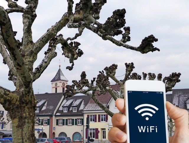 Am Blumenplatz knnte einer der ffentlichen WLAN-Hotspots entstehen.  | Foto: Victoria Langelott,NicoElNino  (stock.adobe.com)