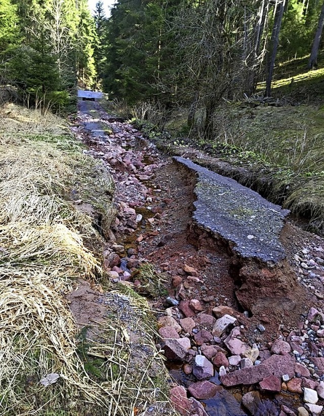 Der schmale Wiedenbach durchpflgte be...eignis im Januar 2018 den Weg daneben.  | Foto: Privat