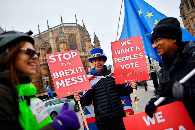 Demonstration gegen den Brexit in London 2018  | Foto: BEN STANSALL