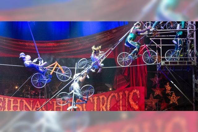 Zirkus-Artisten abgestürzt