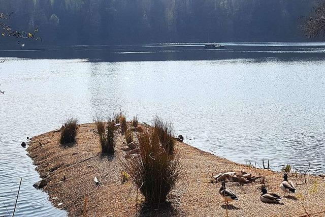 Die knstliche Lunge des Bergsees in Bad Sckingen ist kaputt