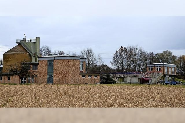 Keine Probleme bei der Weinlese