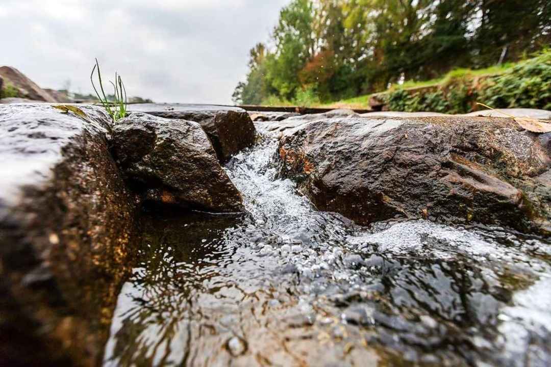 Wie gut ist die Wasserqualit�t?  | Foto: Carlotta Huber