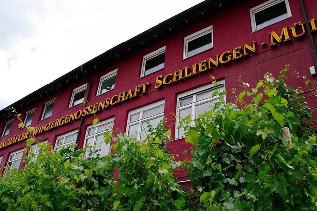 In der WG Schliengen-Mllheim haben in...ende Umstrukturierungen stattgefunden.  | Foto: Martin Pfefferle