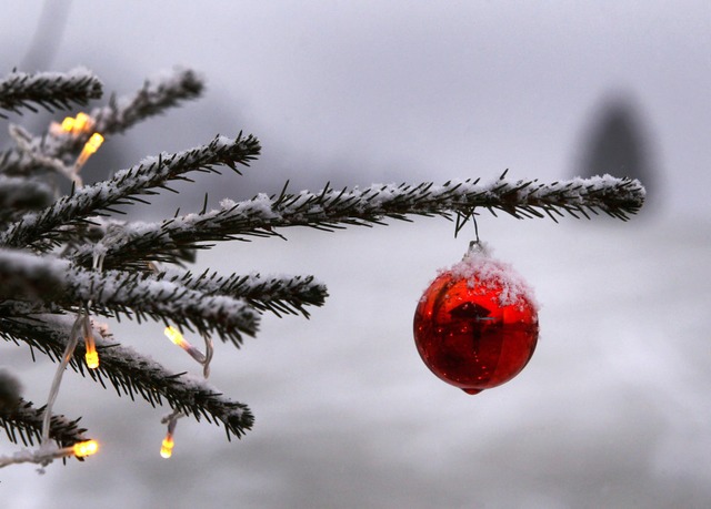 Der Weihnachtsbaum am Schwabentor ist am Freitag gestohlen worden (Symbolbild).  | Foto: Karl-Josef Hildenbrand (dpa)